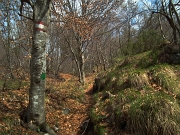 CORNO ZUCCONE (1458 m.) , guardiano della Val Taleggio (17 aprile 2012)  - FOTOGALLERY
